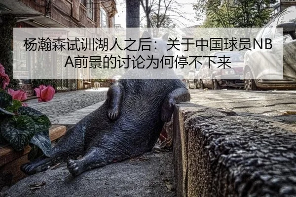 杨瀚森试训湖人之后：关于中国球员NBA前景的讨论为何停不下来